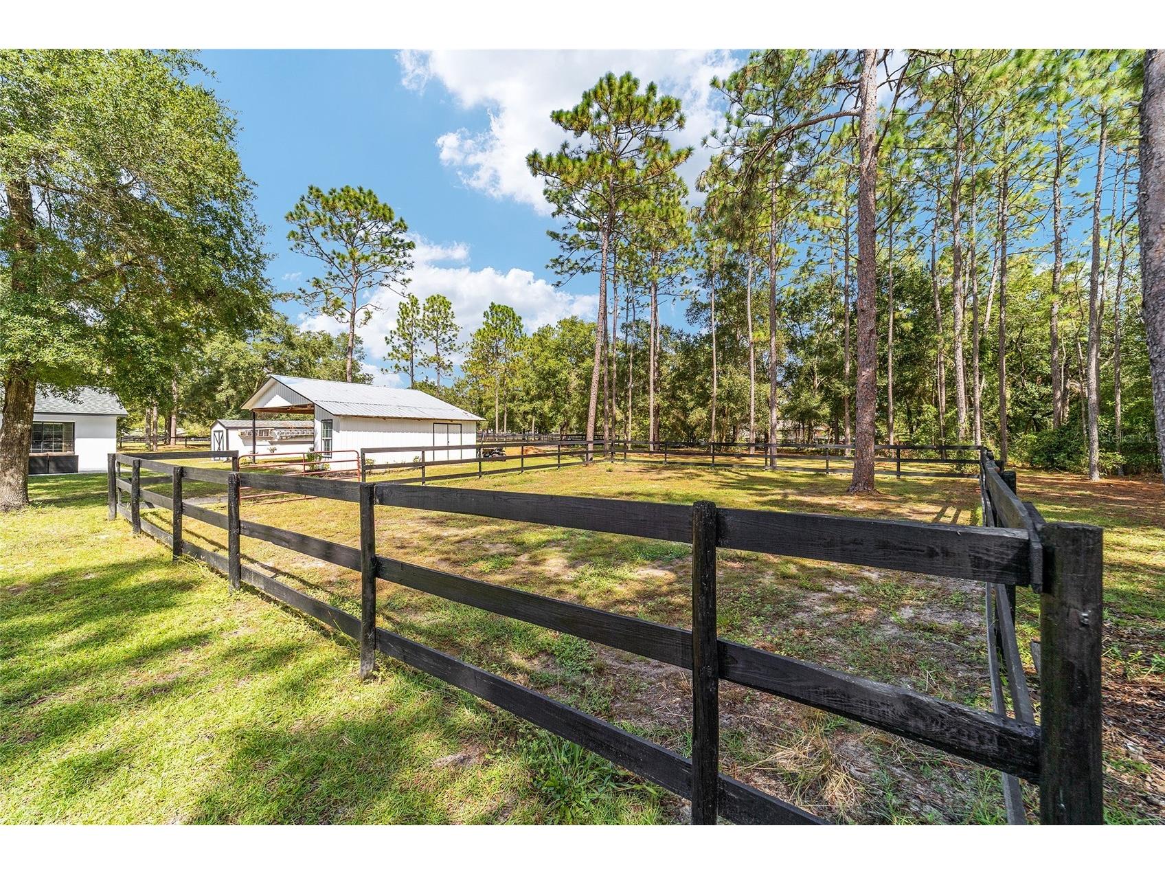 985 NW 73rd Terrace Ocala FL 34482 OM697469 image15