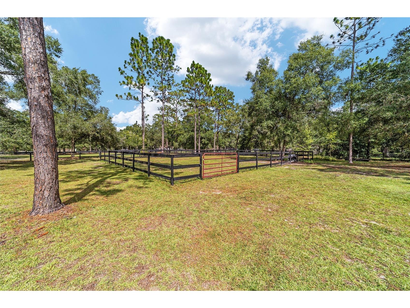 985 NW 73rd Terrace Ocala FL 34482 OM697469 image16