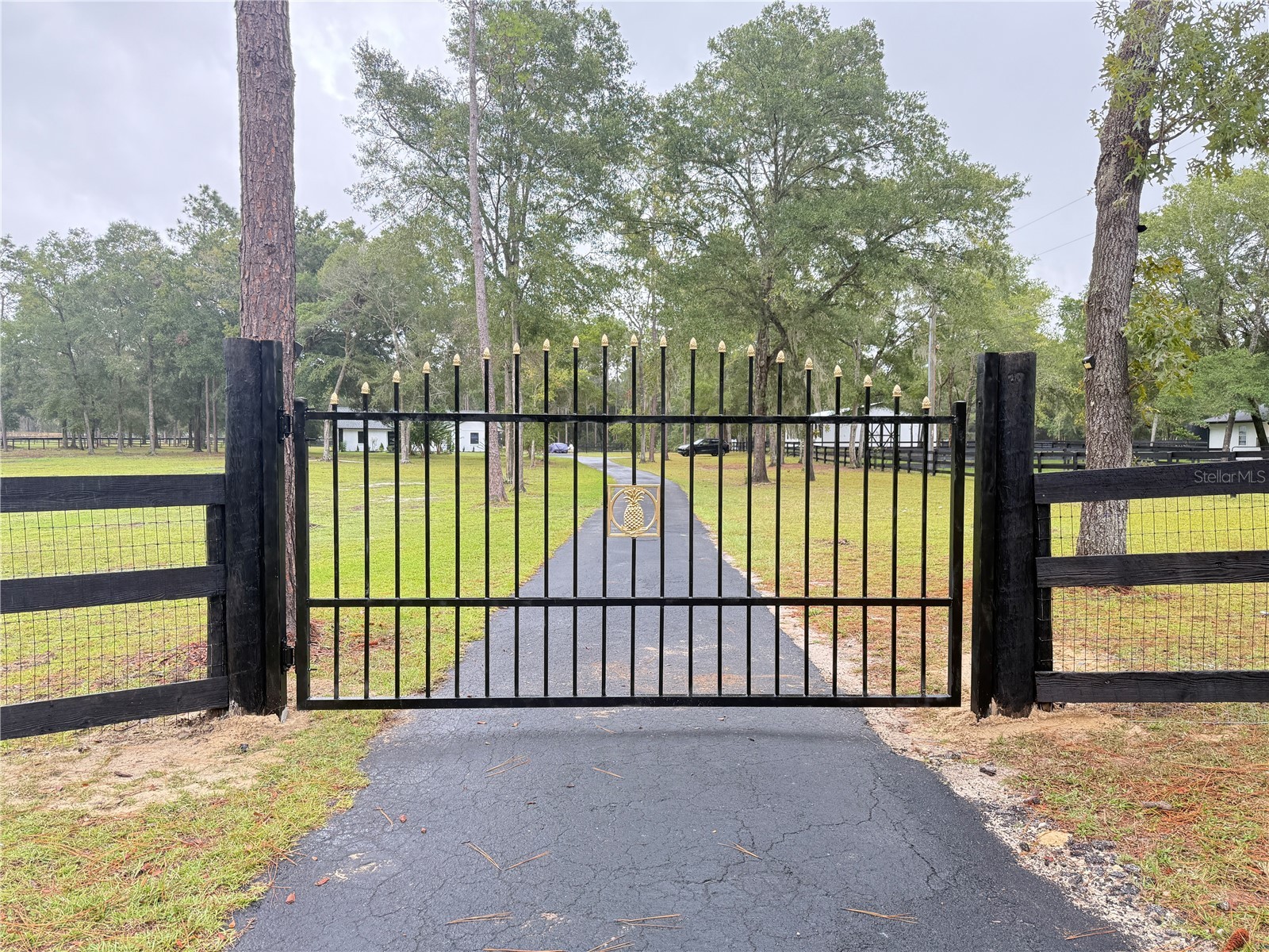 985 NW 73rd Terrace Ocala FL 34482 OM697469 image4