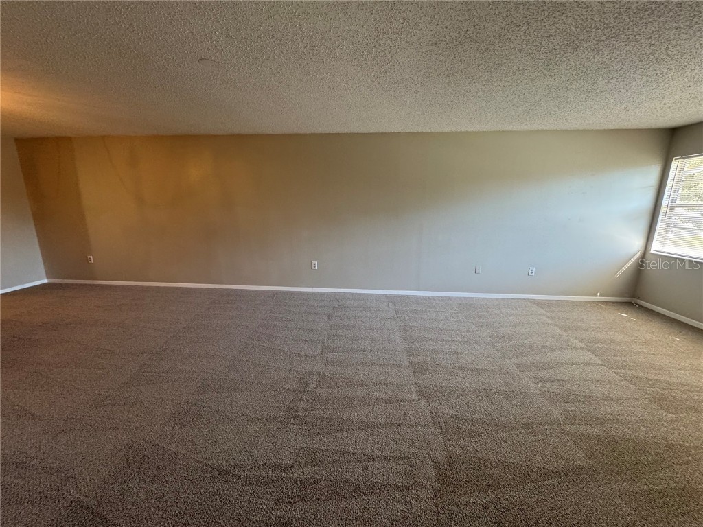 9851 113th Street N #207 Seminole FL 33778 TB8448838 image14