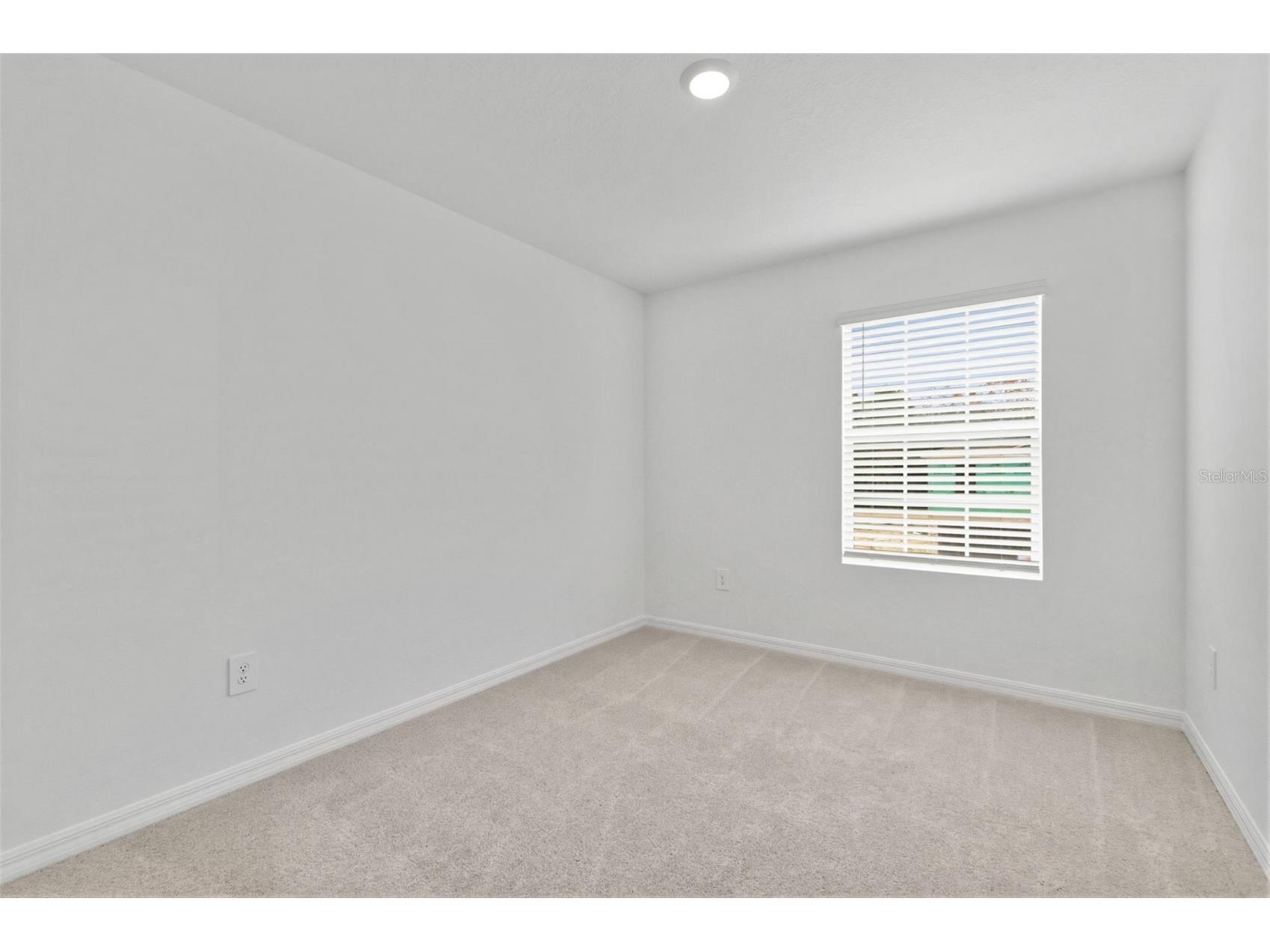 9851 Feaster Drive Wesley Chapel FL 33545 TB8513904 image28