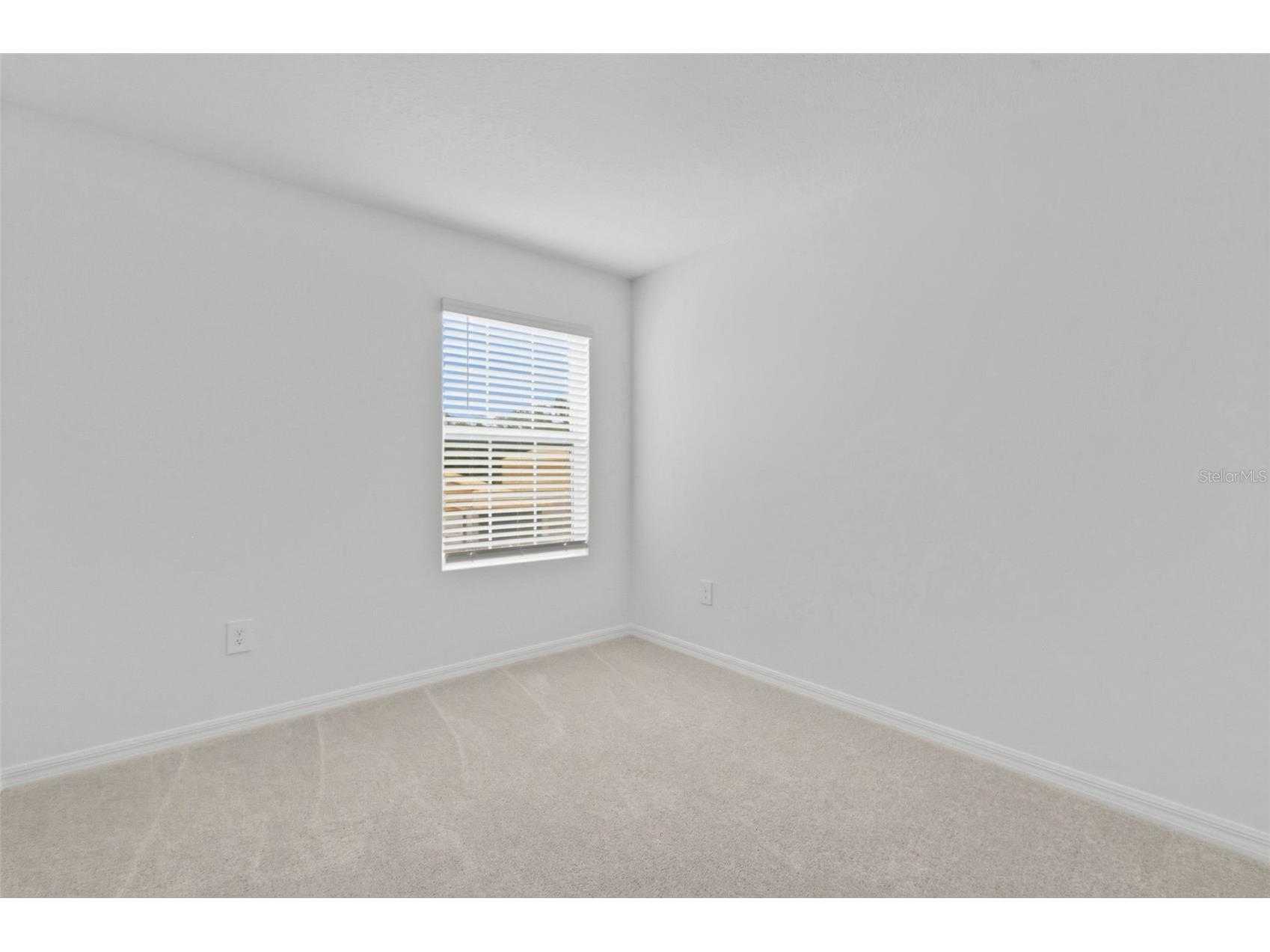 9851 Feaster Drive Wesley Chapel FL 33545 TB8513904 image31