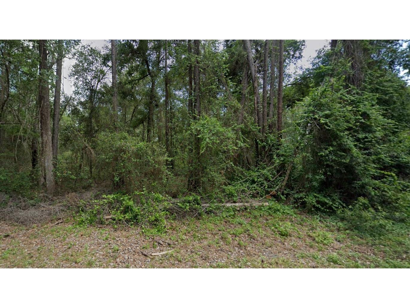 9851 N Daroca Way Dunnellon FL 34434 OK224337 image1