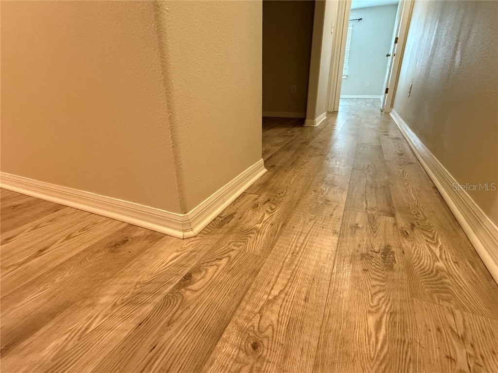 9854 Trumpet Vine Loop #9854 Trinity FL 34655 TB8454465 image10