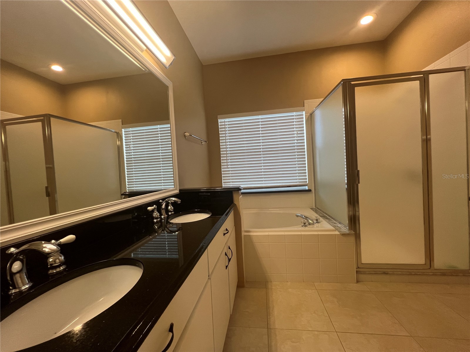9855 Secret Cove Lane Orlando FL 32832 S5150581 image15
