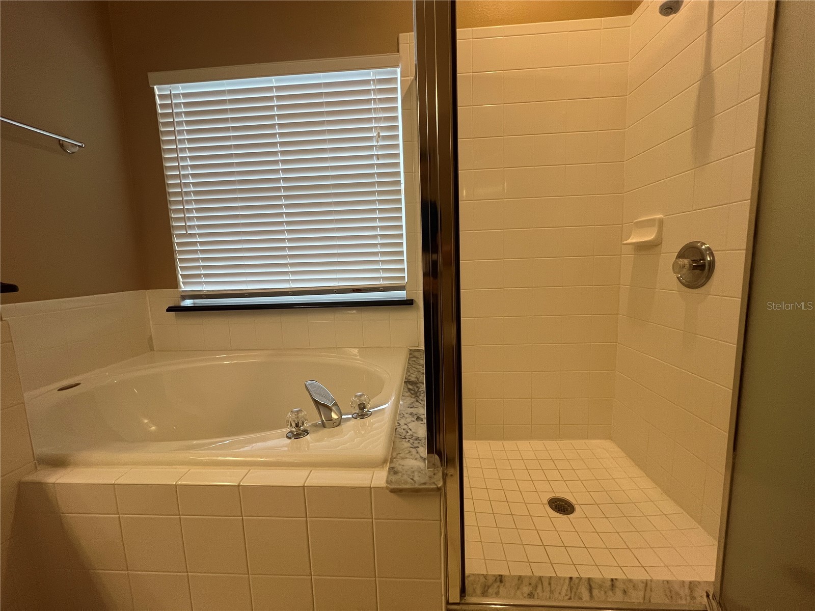 9855 Secret Cove Lane Orlando FL 32832 S5150581 image17