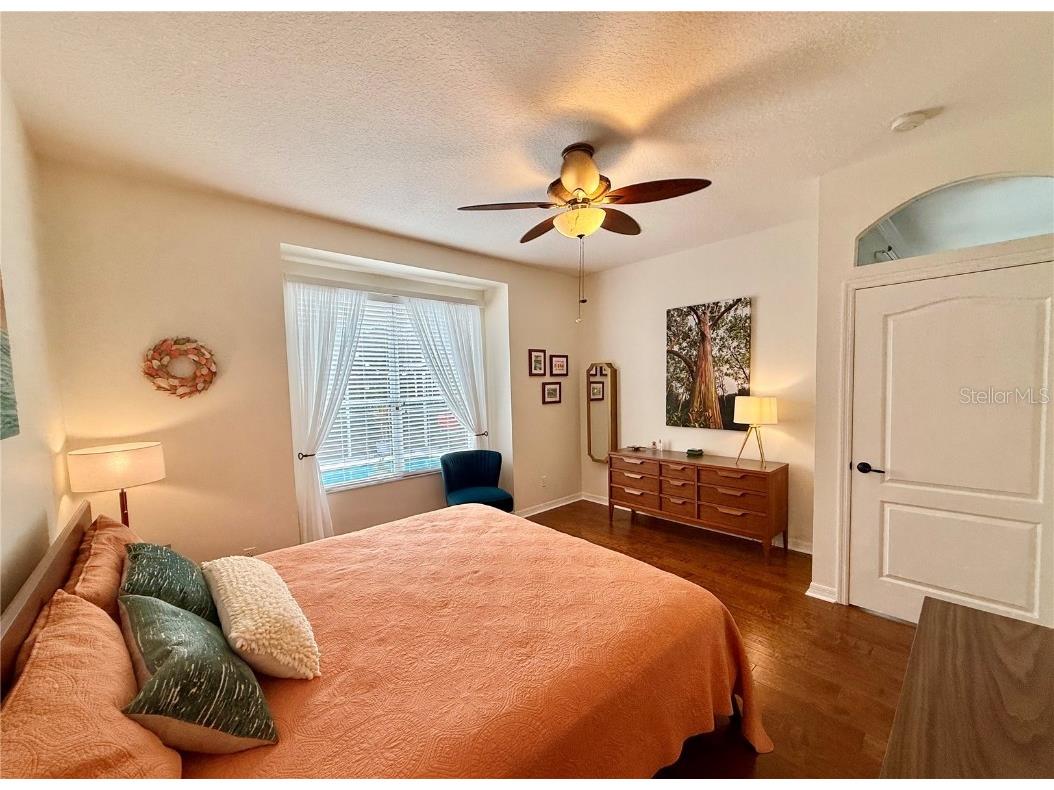 9856 Gingerwood Drive Tampa FL 33626 A4676945 image11