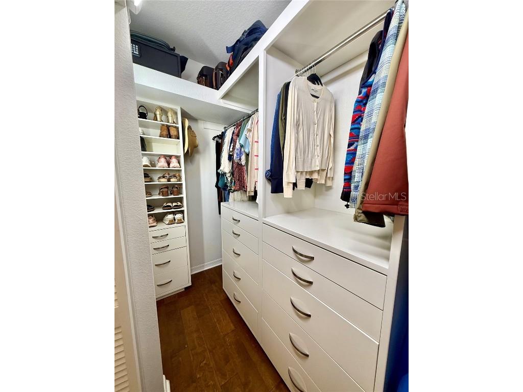 9856 Gingerwood Drive Tampa FL 33626 A4676945 image13