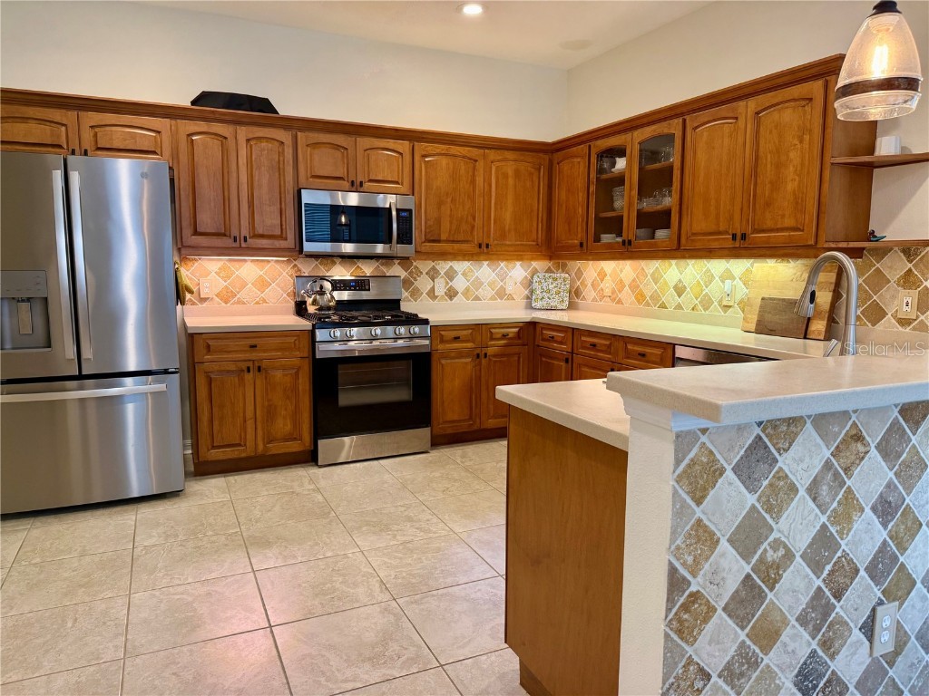 9856 Gingerwood Drive Tampa FL 33626 A4676945 image7