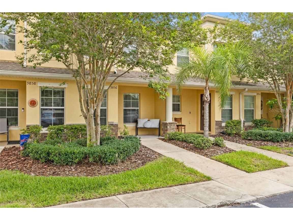 9856 Trumpet Vine Loop Trinity FL 34655 T3541178 image1