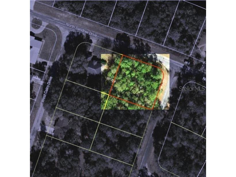 9858 N Jourden Drive Citrus Springs FL 34434 OM711139 image1