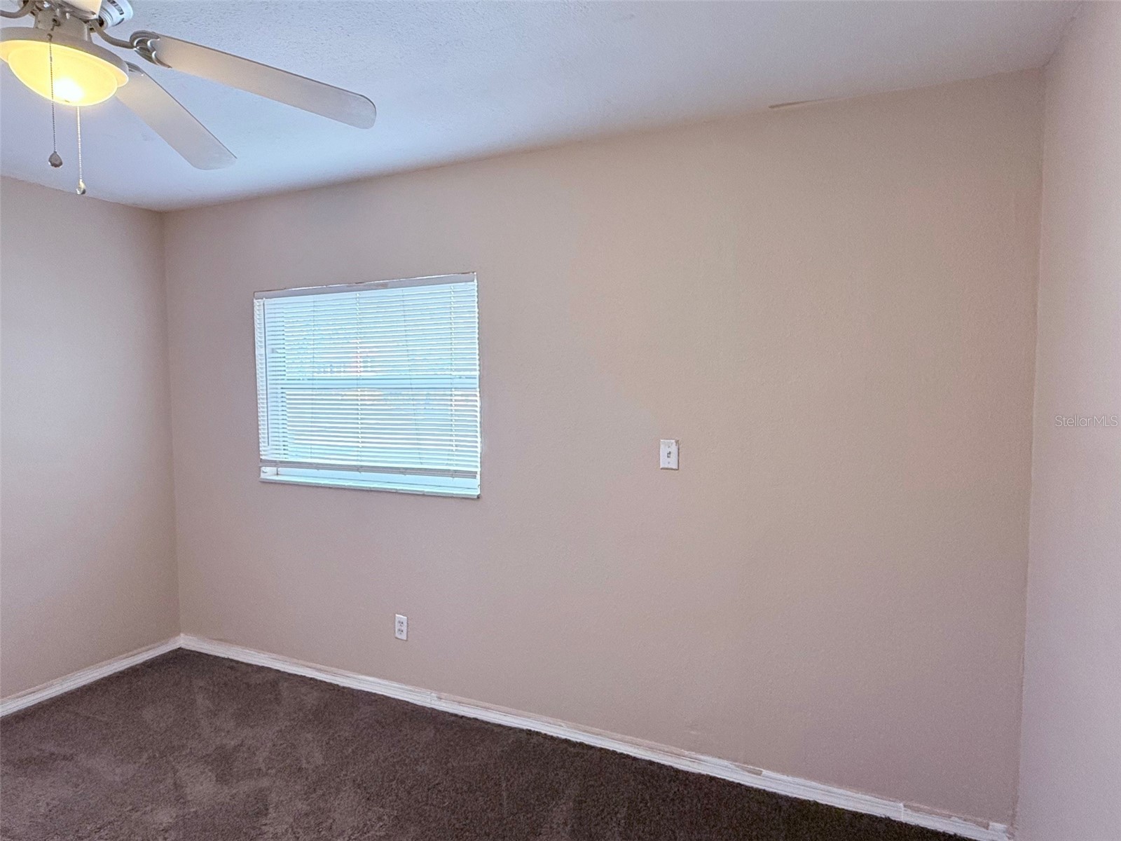 986 22nd Avenue S #3 Saint Petersburg FL 33705 TB8415615 image10