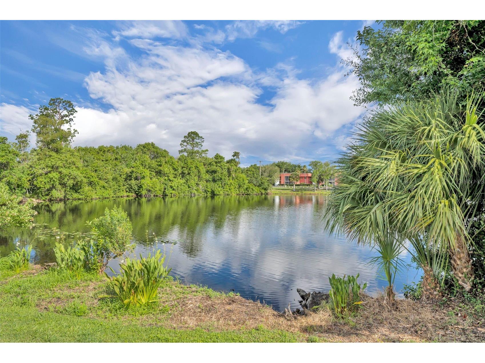 986 Grand Wildmere Cove Longwood FL 32750 O6411035 image40