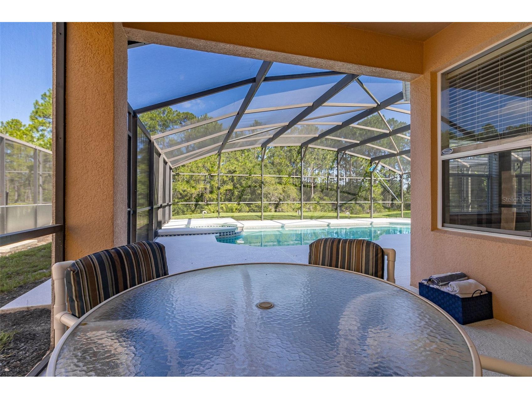 986 Orange Cosmos Boulevard Davenport FL 33837 S5148483 image54