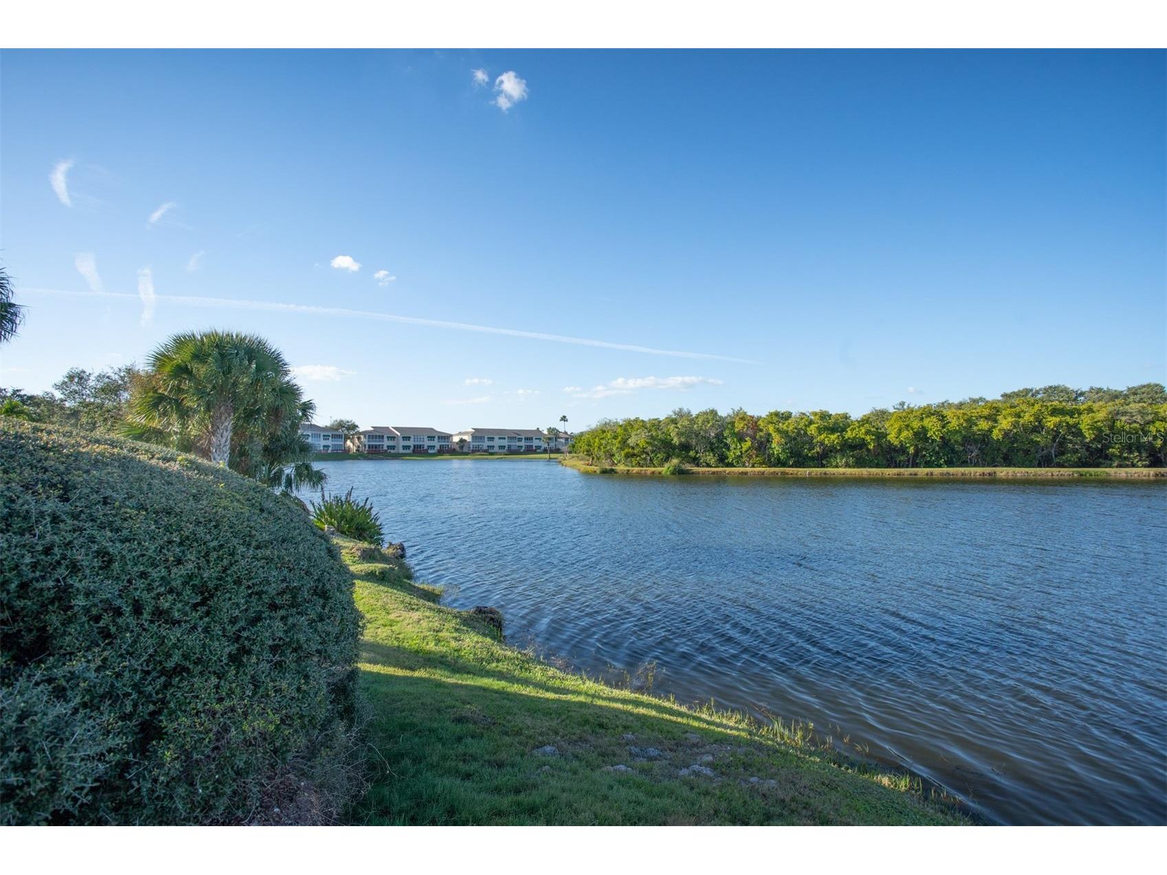 9860 62nd Terrace N #1014 Saint Petersburg FL 33708 TB8459048 image57