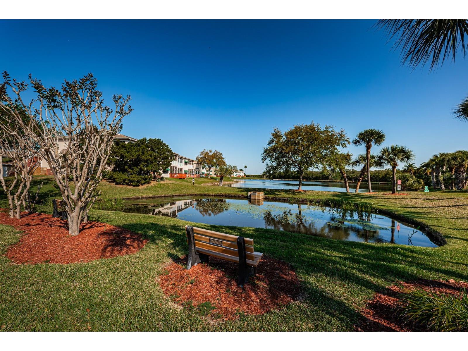 9860 62nd Terrace N #1025 Saint Petersburg FL 33708 TB8491615 image34