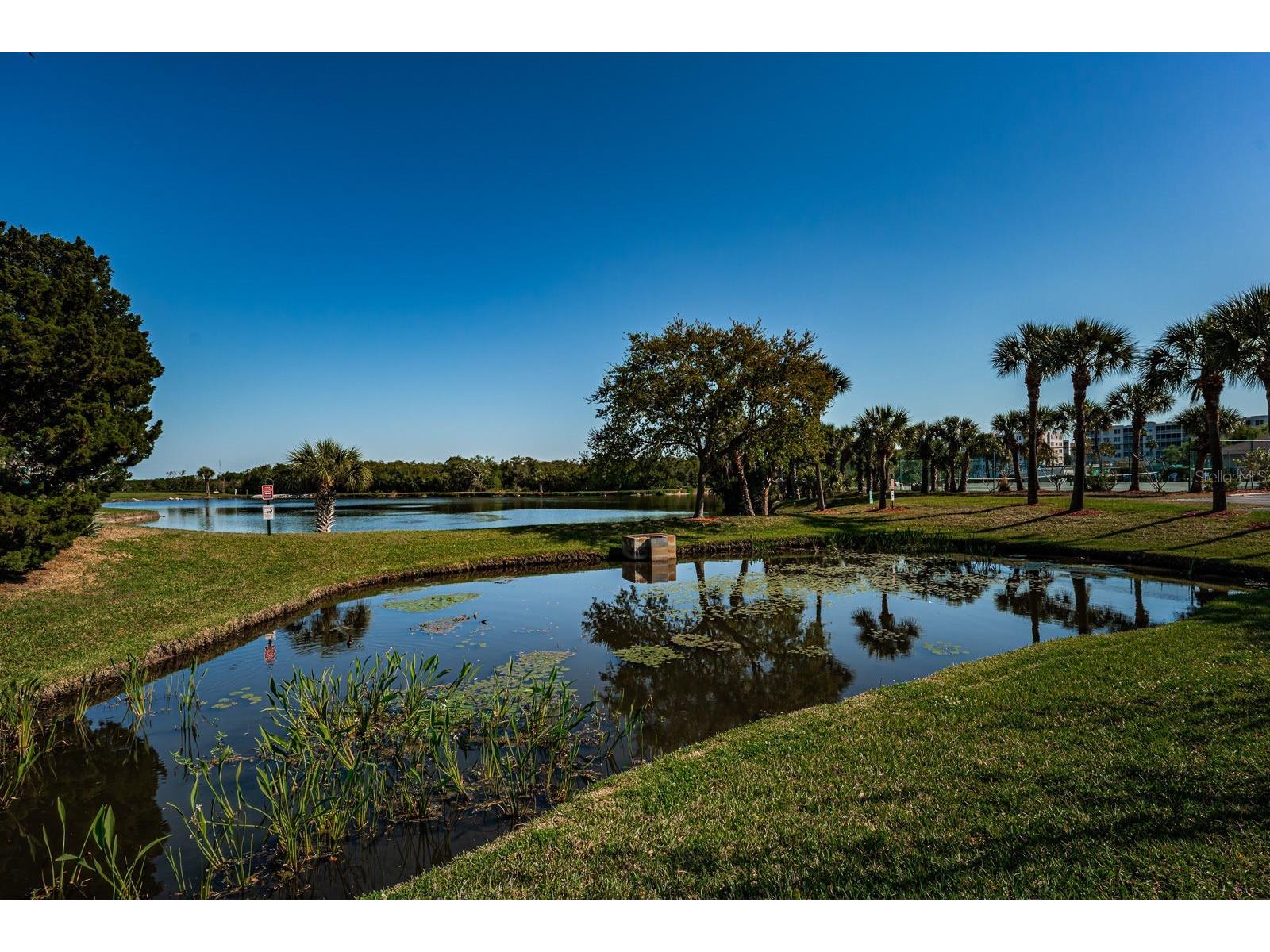 9860 62nd Terrace N #1025 Saint Petersburg FL 33708 TB8491615 image35
