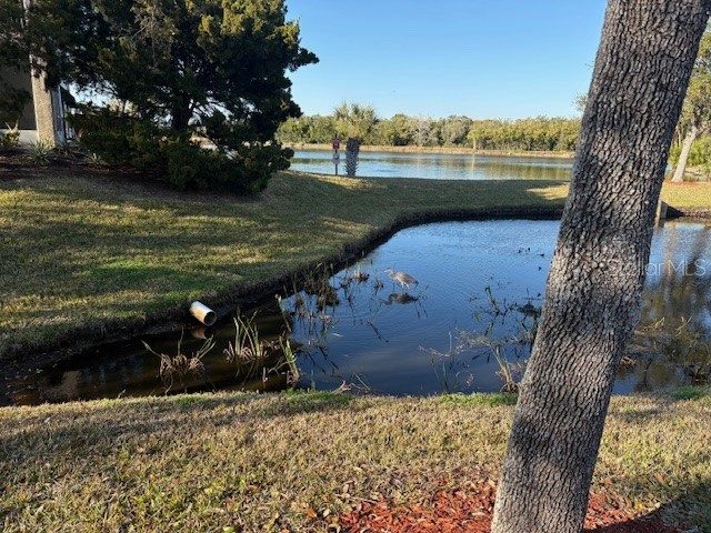 9860 62nd Terrace N #1048 Saint Petersburg FL 33708 TB8476770 image13