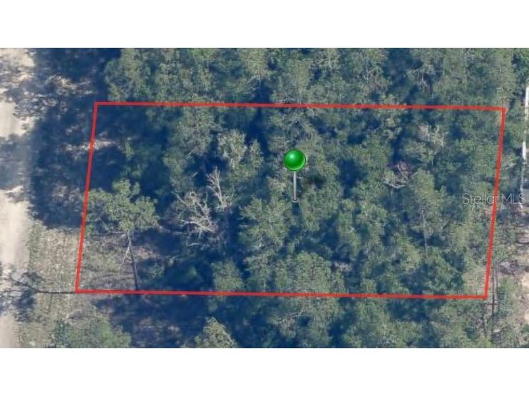 9861 N Baldwin Terrace Dunnellon FL 34434 A4613134 image1