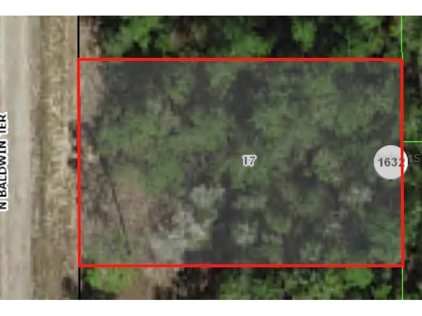 9861 N Baldwin Terrace Dunnellon FL 34434 A4613134 image2