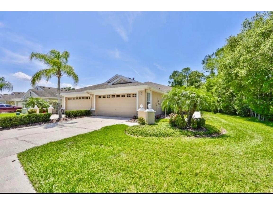 9864 Bridgeton Drive Tampa FL 33626 T3509768 image1
