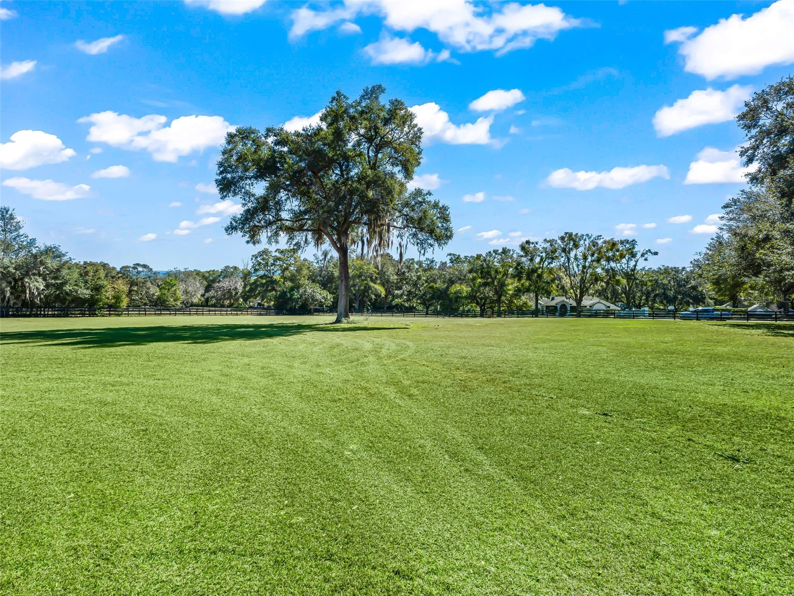 9865 SW 74th Avenue Ocala FL 34476 OM717866 image70