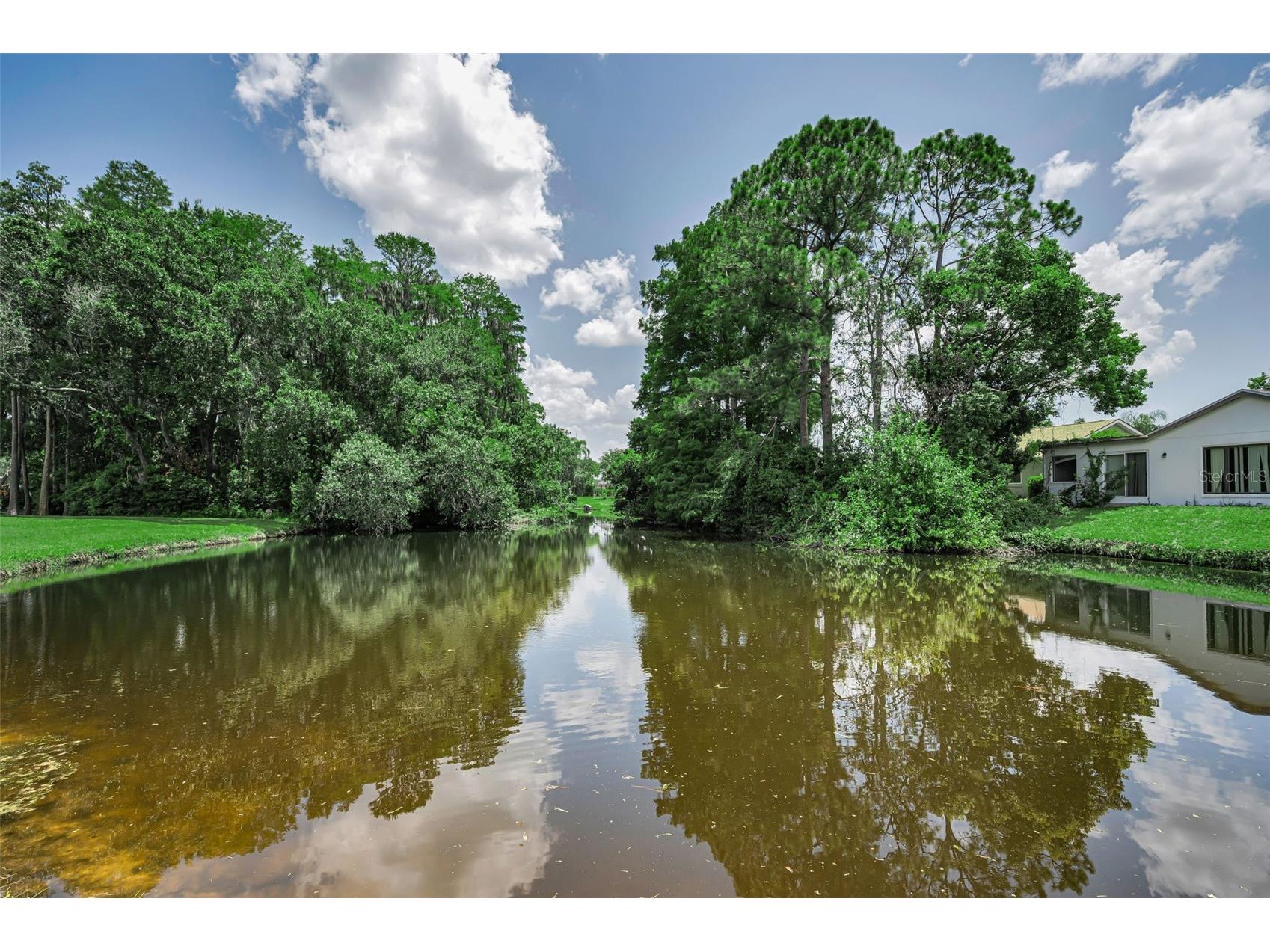9866 Lopez Drive New Port Richey FL 34655 TB8530680 image24