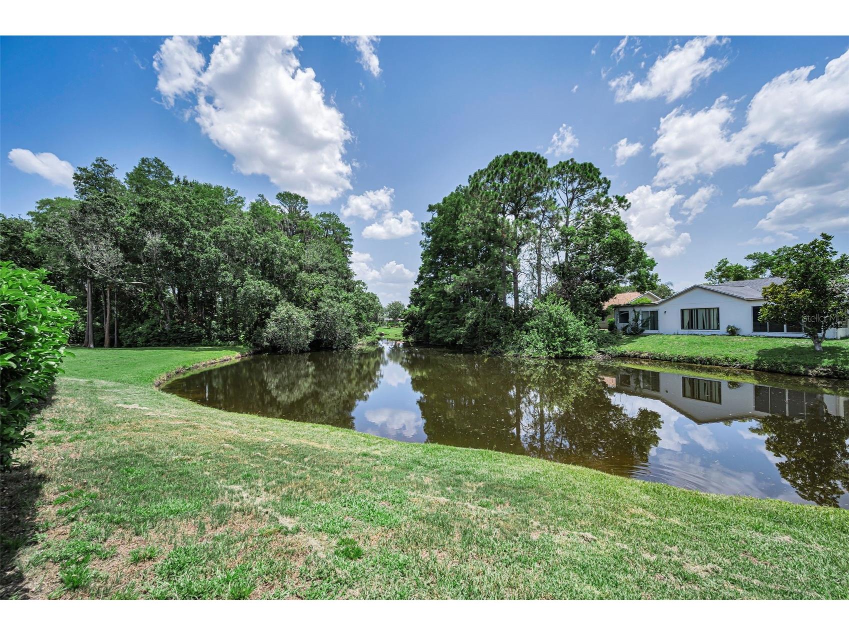 9866 Lopez Drive New Port Richey FL 34655 TB8530680 image25