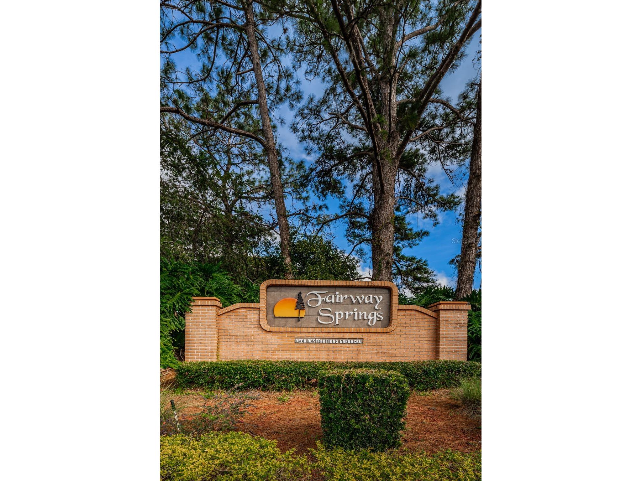 9866 Lopez Drive New Port Richey FL 34655 TB8530680 image3