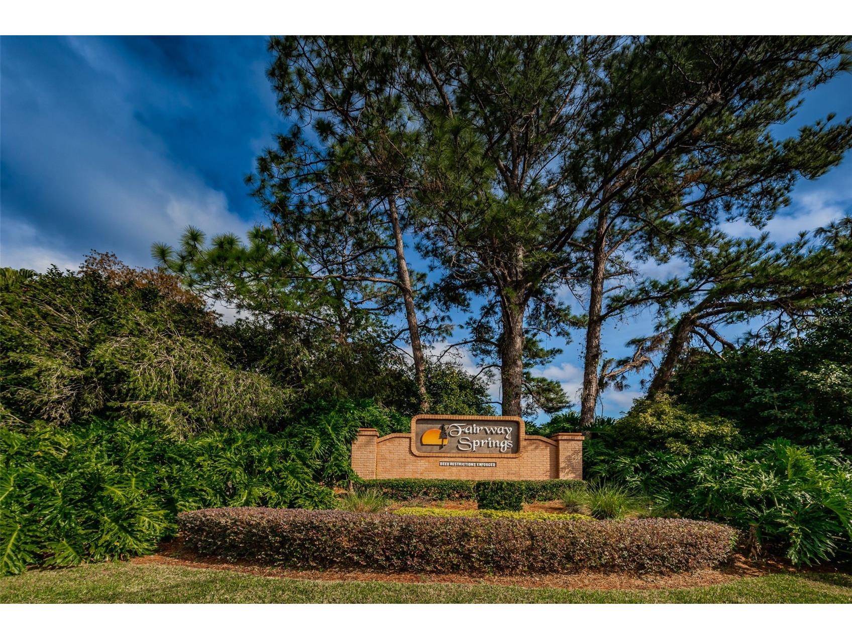 9866 Lopez Drive New Port Richey FL 34655 TB8530680 image4
