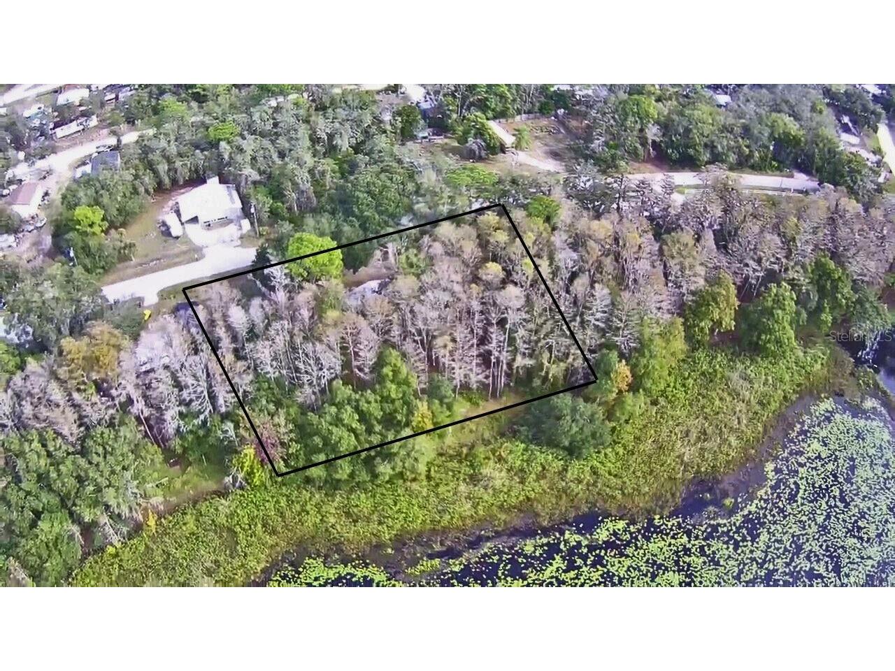 9867 Jerome Drive New Port Richey FL 34654 - LAKE JEROME W7881360 image2
