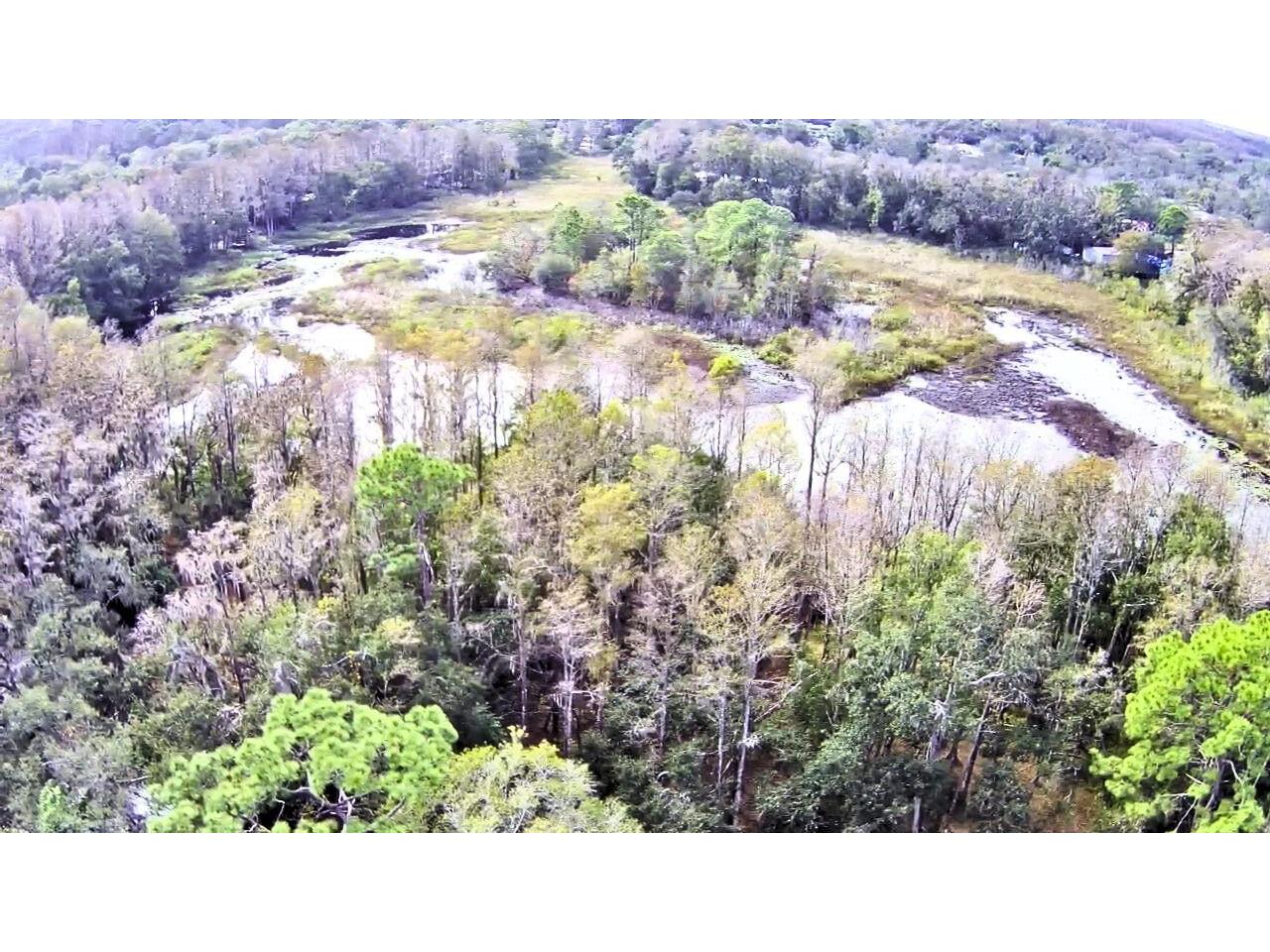 9867 Jerome Drive New Port Richey FL 34654 - LAKE JEROME W7881360 image3