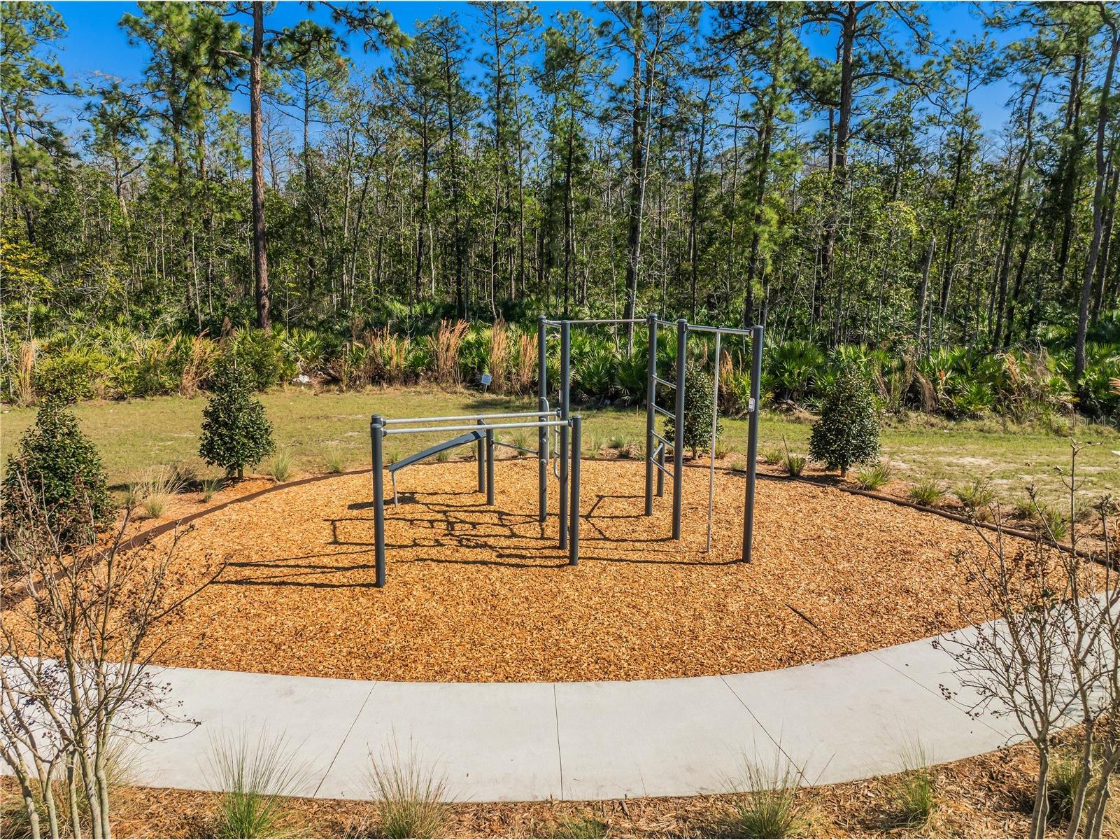 9867 Walkway Drive Orlando FL 32832 S5143073 image35