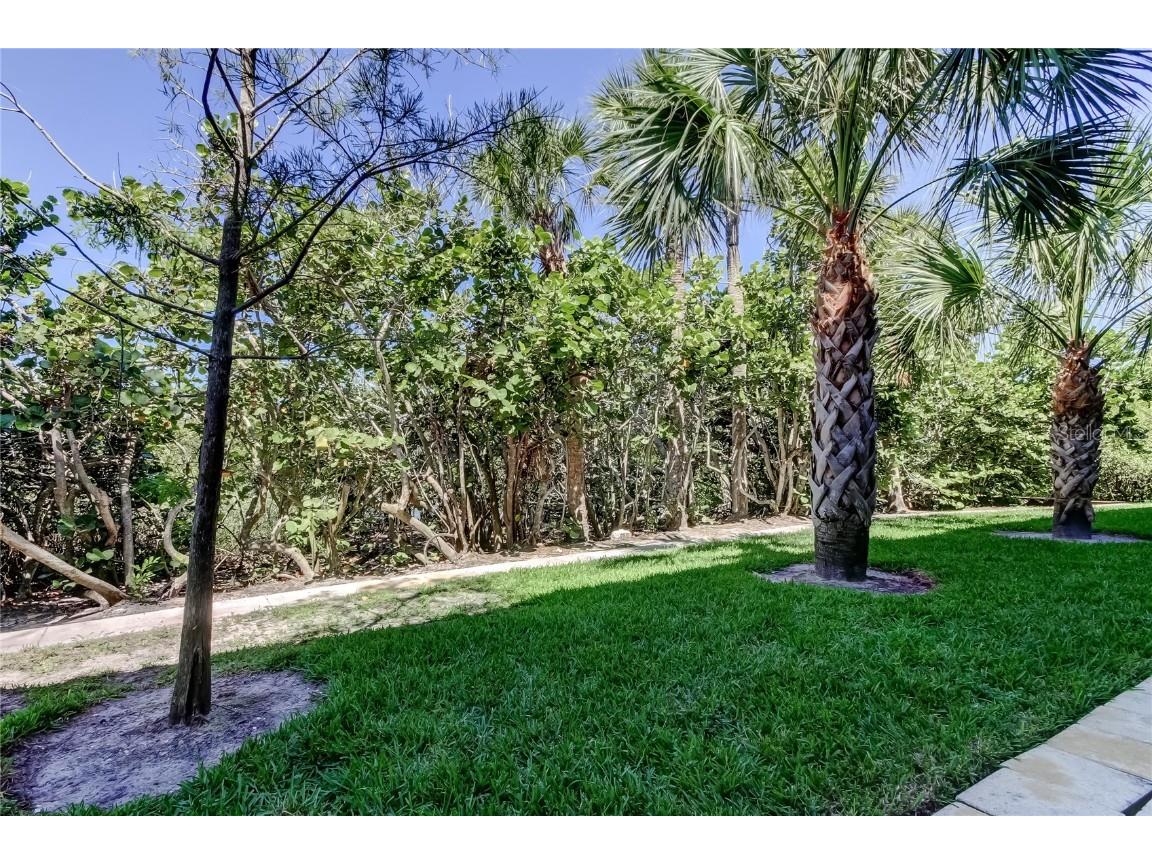 9868 Indian Key Trail #65 Seminole FL 33776 TB8429327 image62