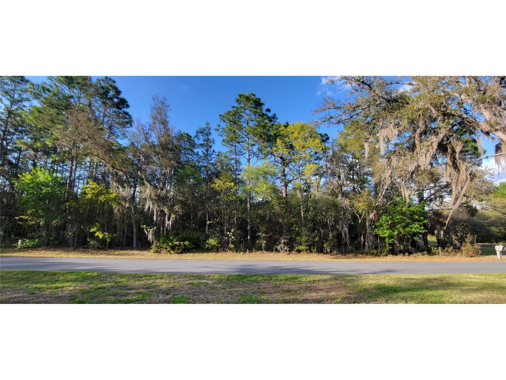 987 E Morningstar Lane Hernando FL 34442 W7853455 image1