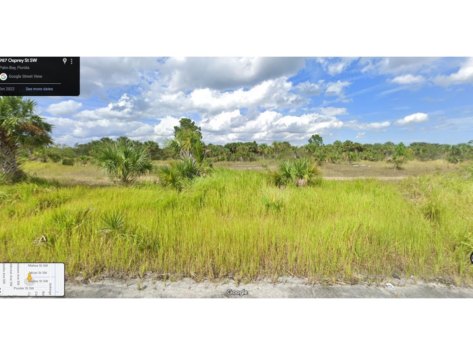 987 Osprey Street SW Palm Bay FL 32908 T3485679 image1