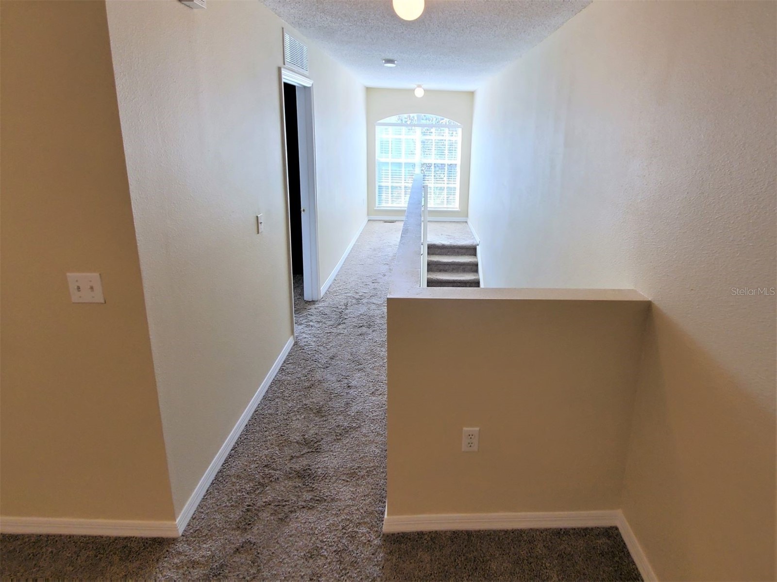 9870 Ashburn Lake Drive Tampa FL 33610 TB8513678 image10