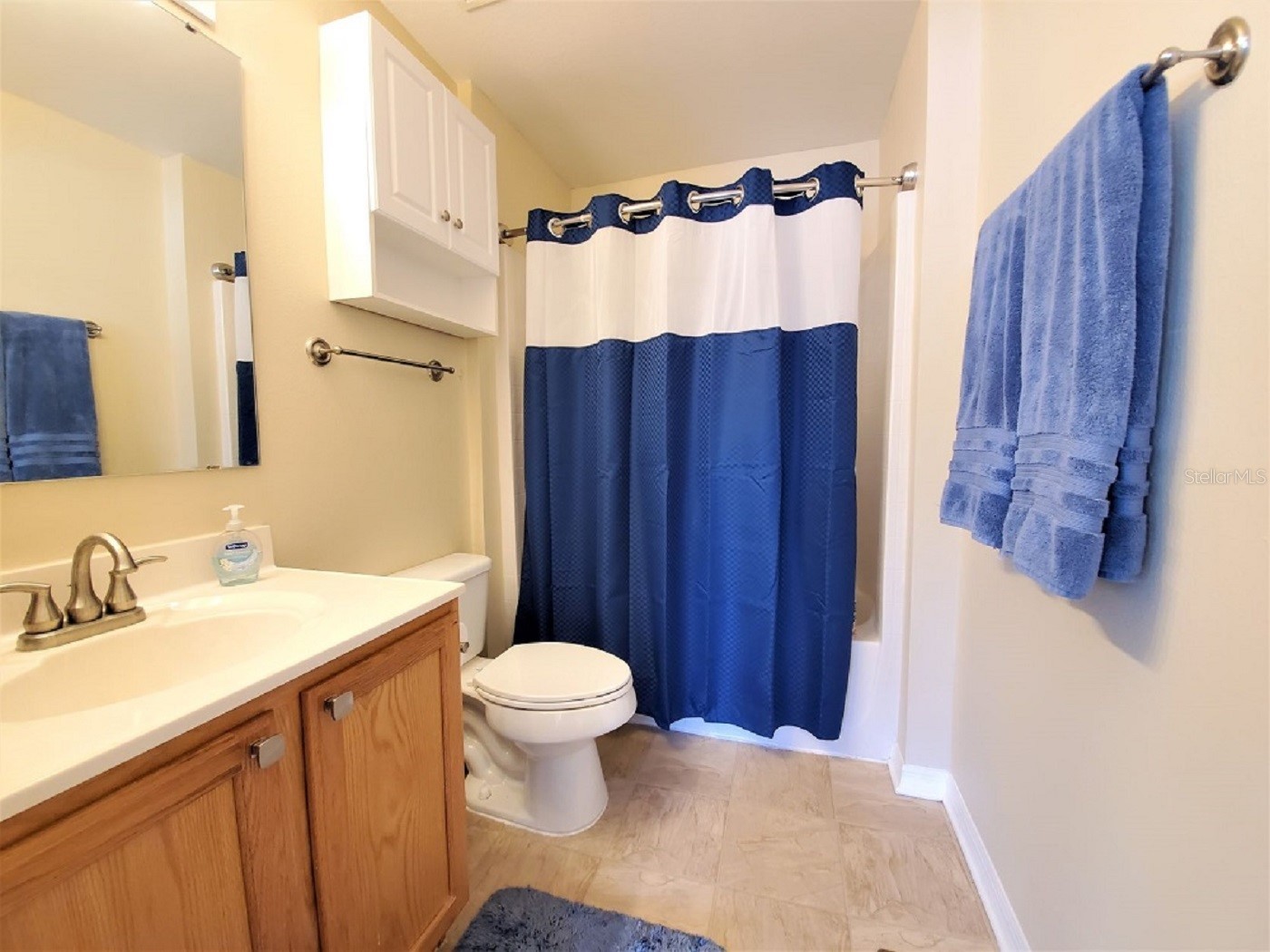 9870 Ashburn Lake Drive Tampa FL 33610 TB8513678 image14