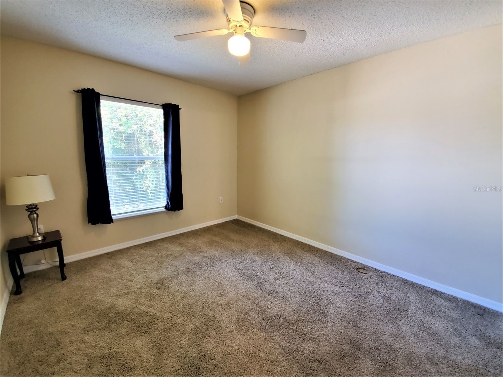 9870 Ashburn Lake Drive Tampa FL 33610 TB8513678 image15