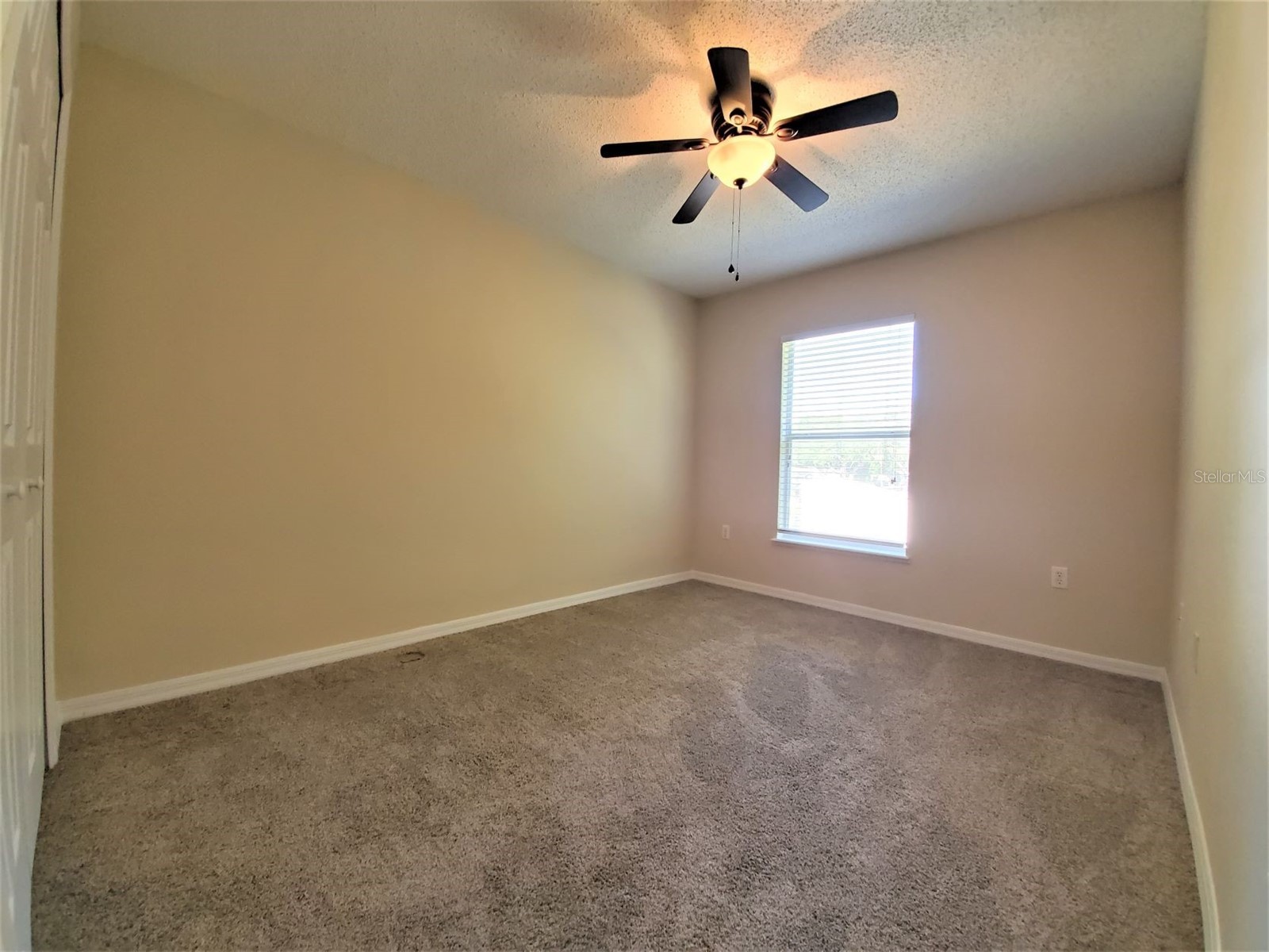 9870 Ashburn Lake Drive Tampa FL 33610 TB8513678 image19