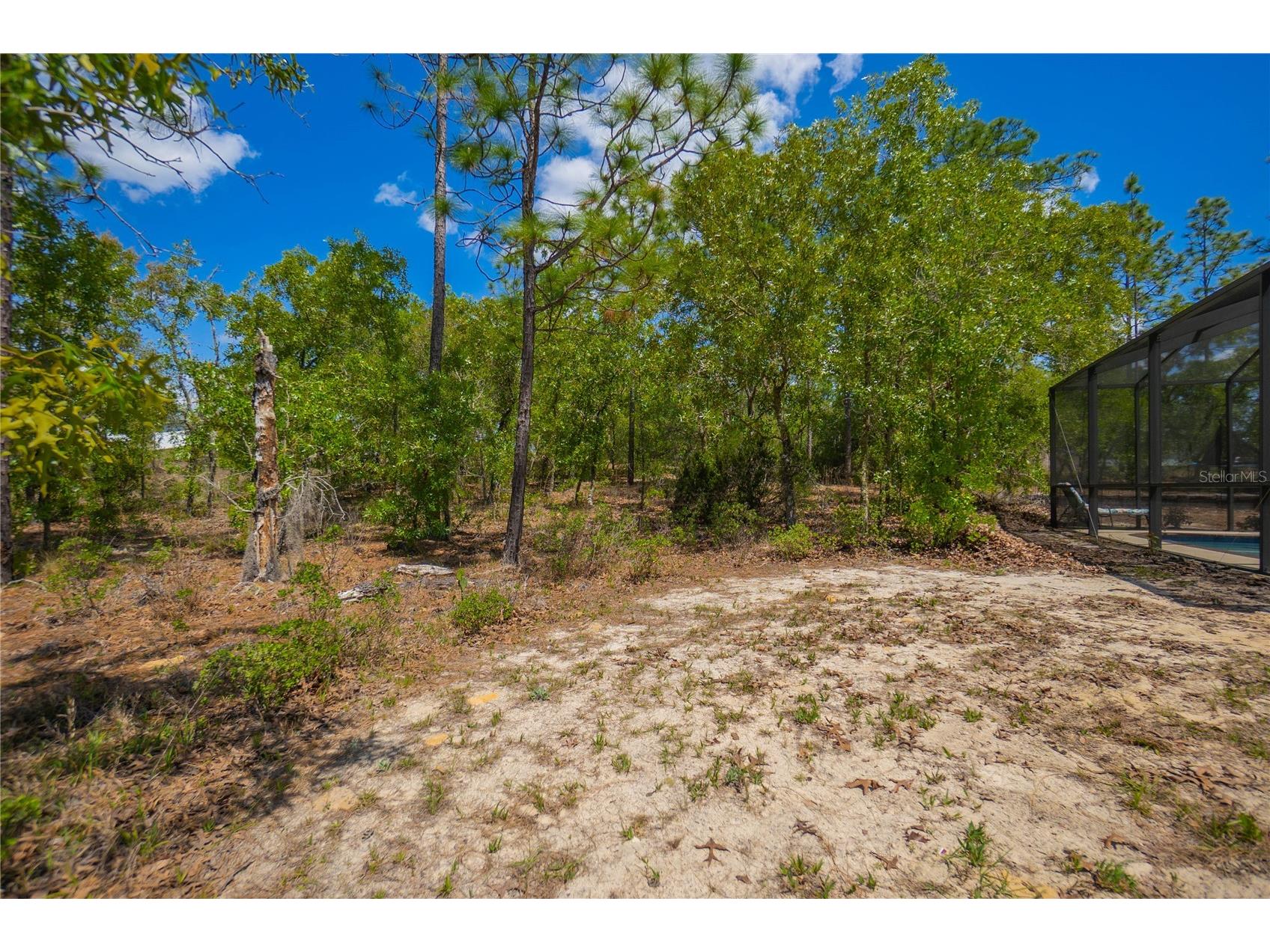 9870 N Corsair Terrace Citrus Springs FL 34433 TB8500016 image40