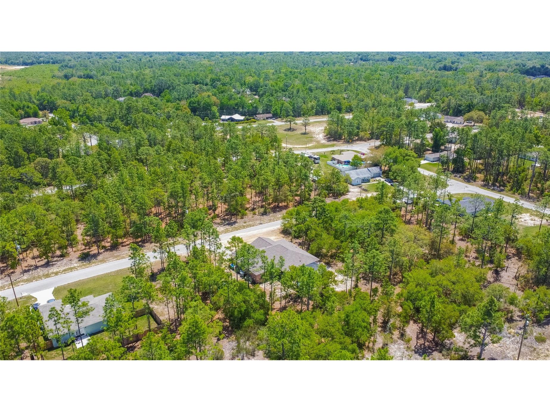 9870 N Corsair Terrace Citrus Springs FL 34433 TB8500016 image49