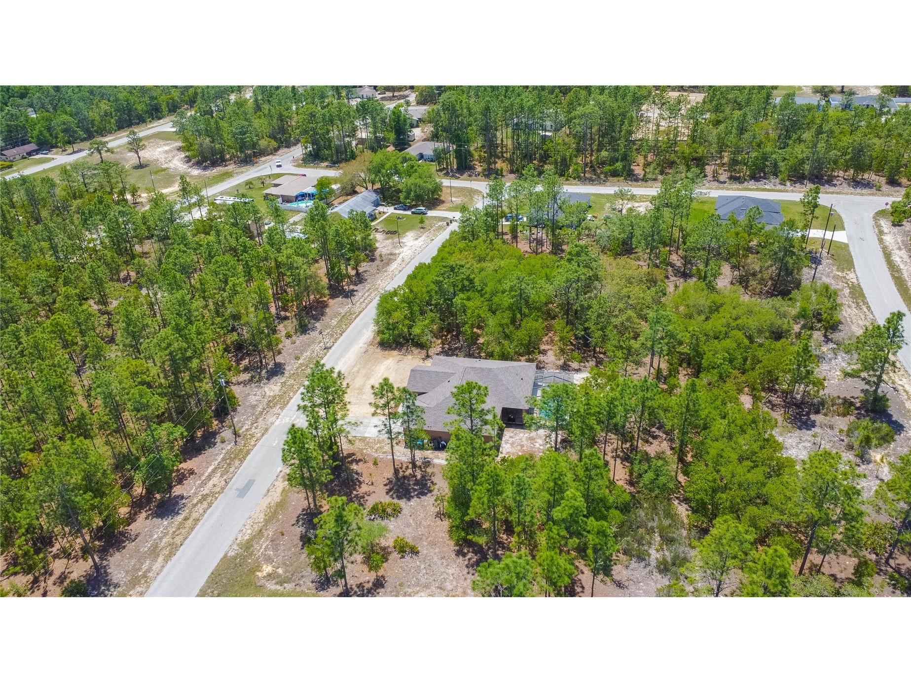 9870 N Corsair Terrace Citrus Springs FL 34433 TB8500016 image50