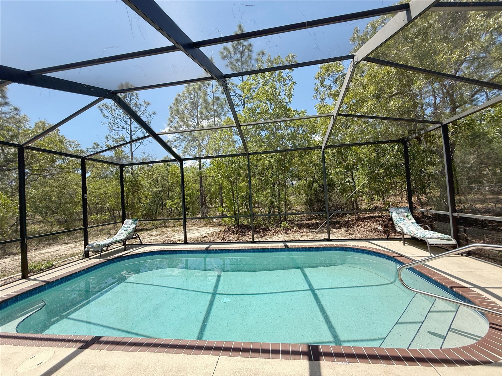 9870 N Corsair Terrace Citrus Springs FL 34433 TB8500016 image59