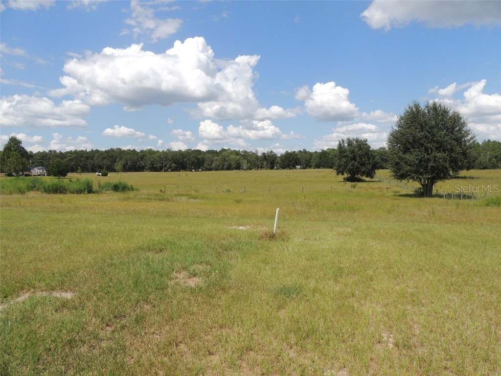 9871 NE 60th Street Bronson FL 32621 OM709536 image7