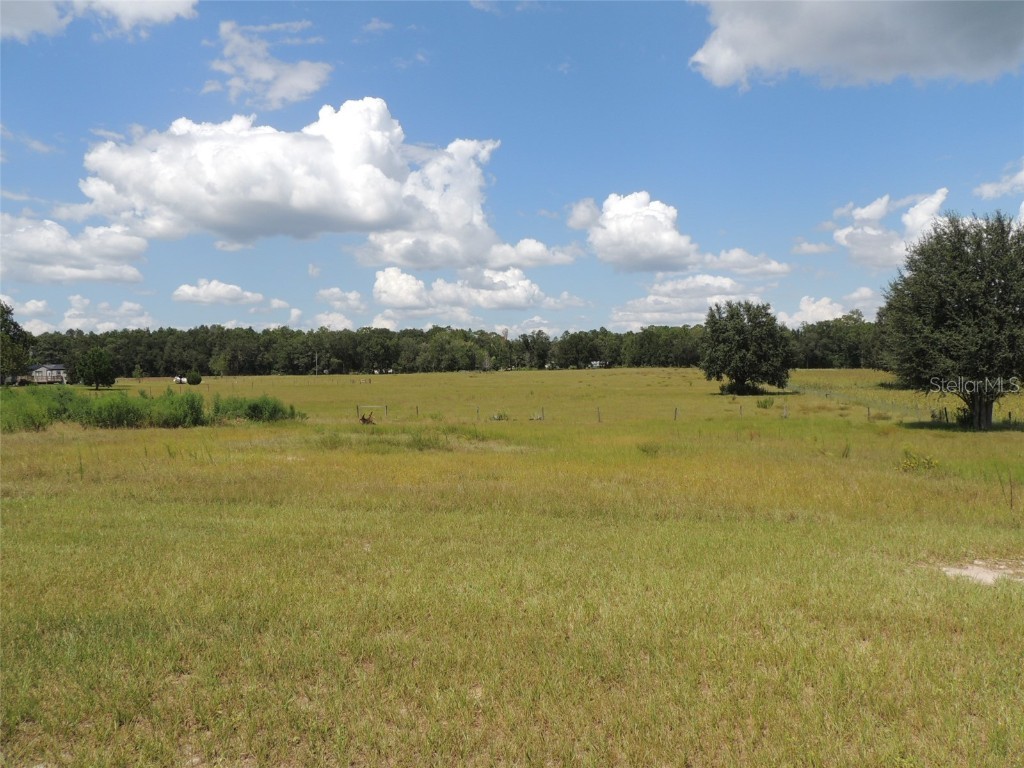 9871 NE 60th Street Bronson FL 32621 OM709536 image8