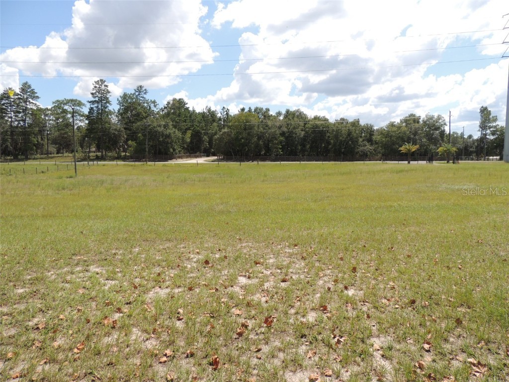 9871 NE 60th Street Bronson FL 32621 OM709536 image9