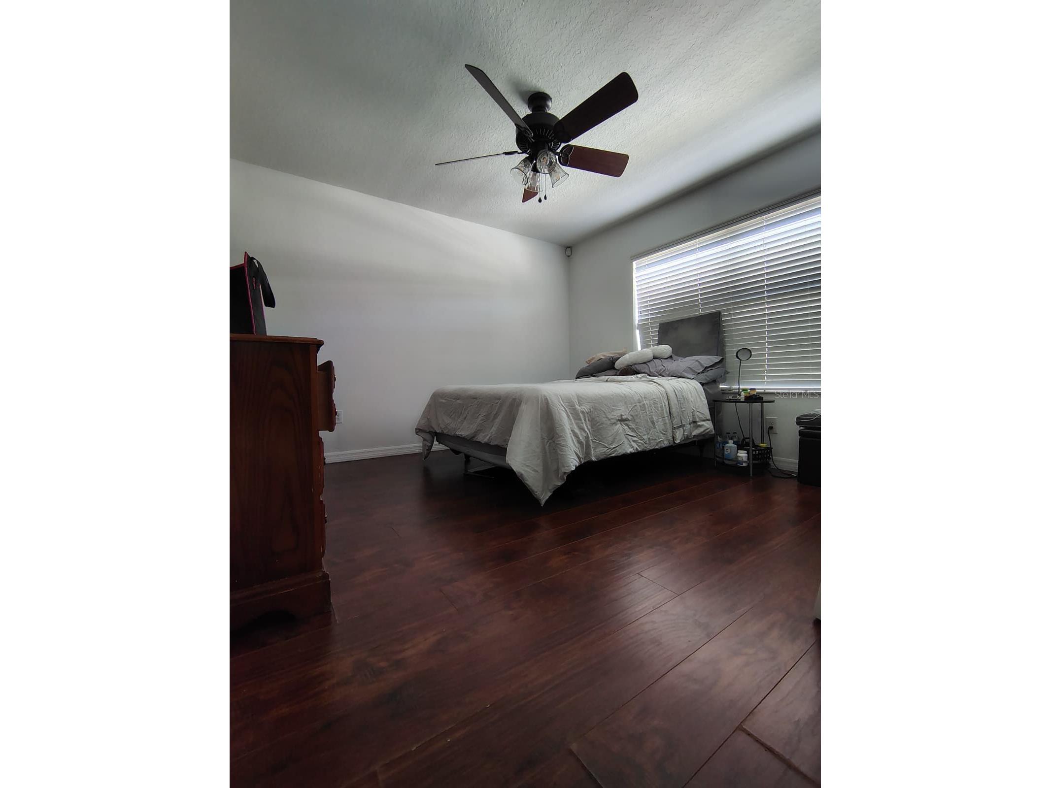 9871 Trumpet Vine Loop Trinity FL 34655 S5142070 image10