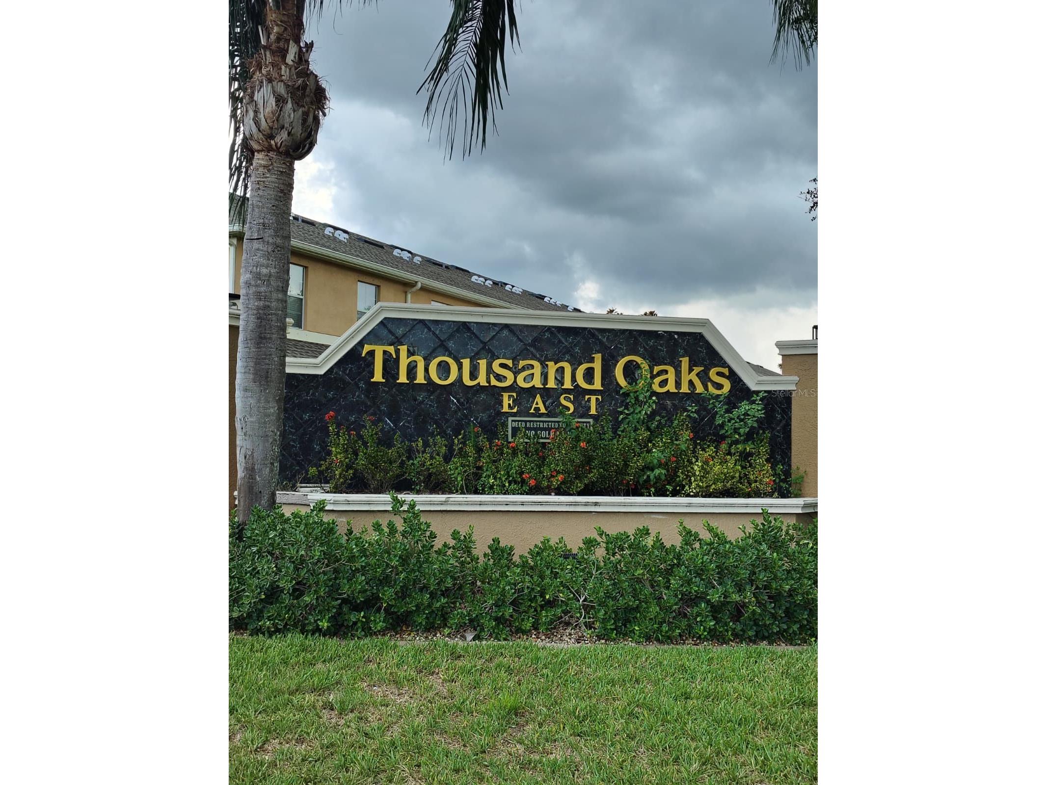 9871 Trumpet Vine Loop Trinity FL 34655 S5142070 image7