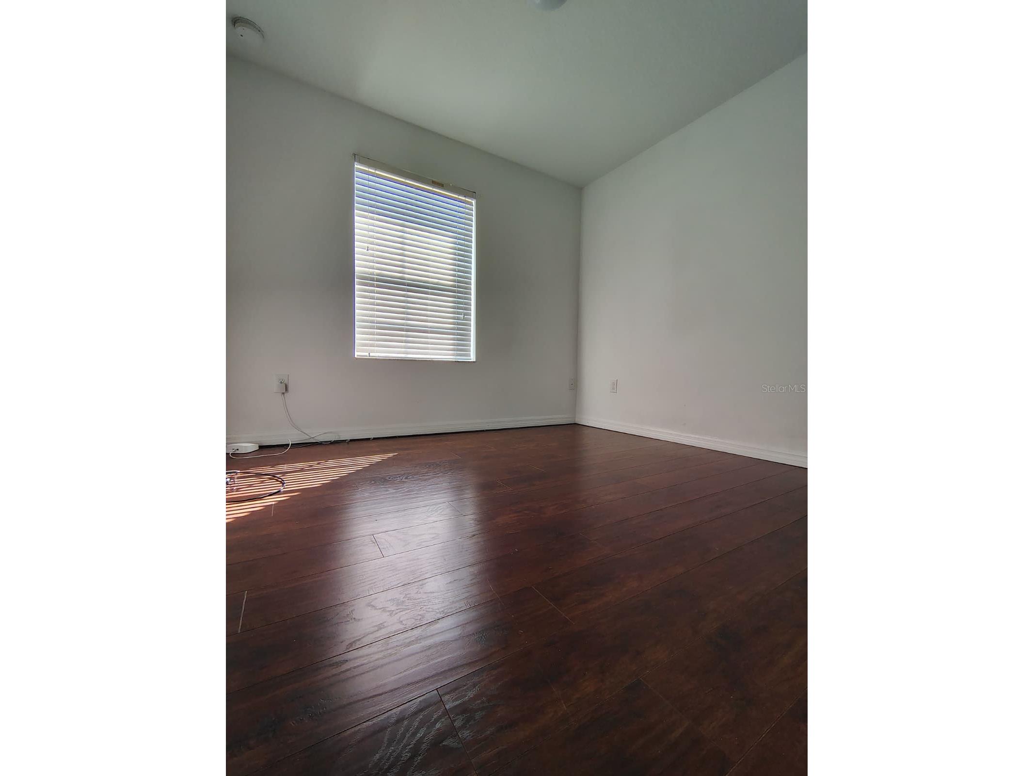 9871 Trumpet Vine Loop Trinity FL 34655 S5142070 image8